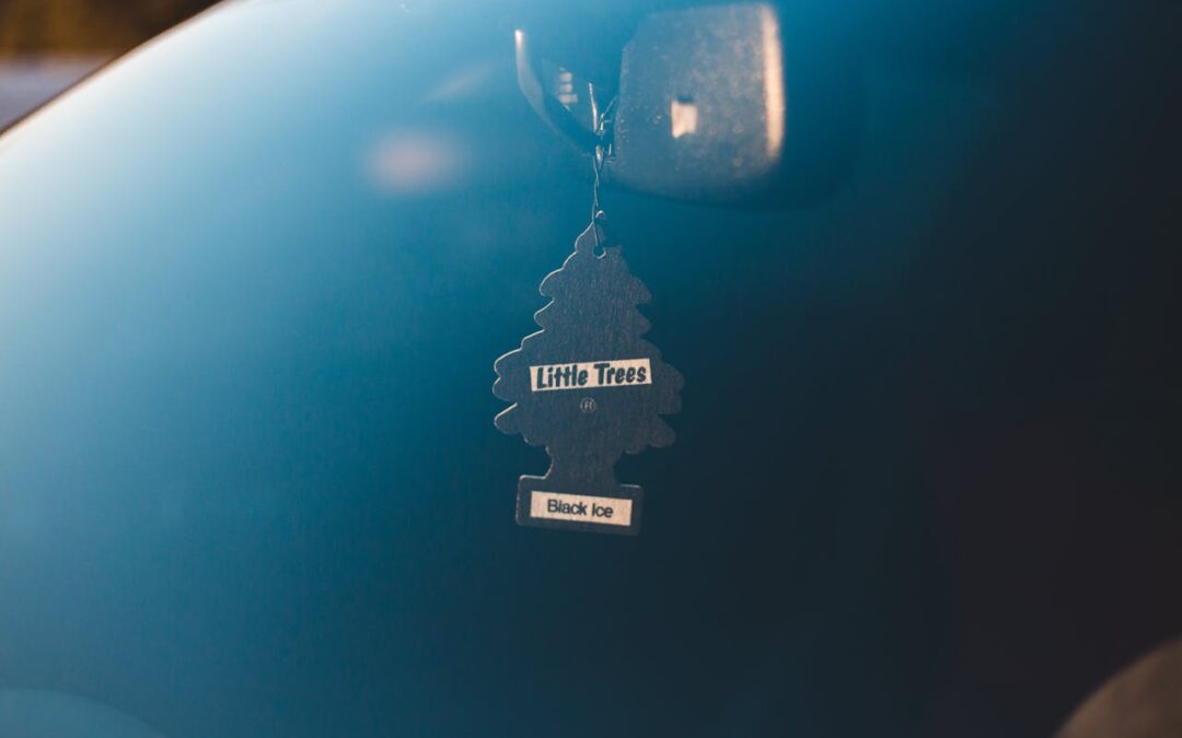 Simple and Effective Steps to Keep Your Car Smelling Fresh