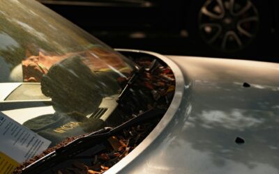 Protecting Your Car from Fall Tree Debris