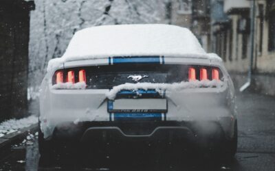 Professional Paint Protection for Winter Weather