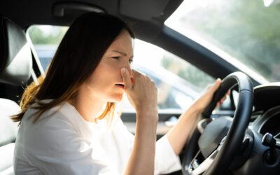 Why Your Car’s AC Smells Bad (And How Our New Air Guard Technology Fixes It)